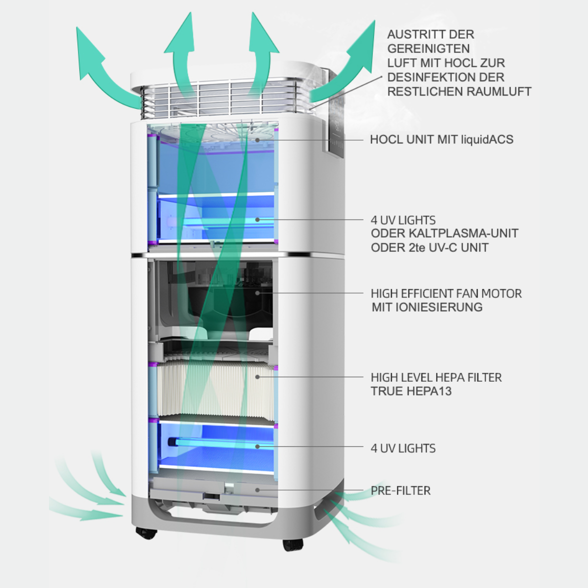 Luftreiniger & -desinfektion AF-09(H)