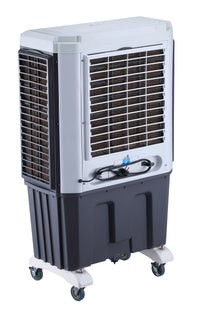 BIOKOOL "Model L2" mit UV-C und Ionisierung