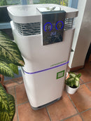 Luftreiniger & -desinfektion AF-09(H)