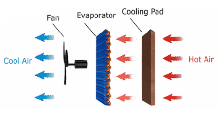 BIOKOOL "Model VEAC" mit UV-C und Ionisierung